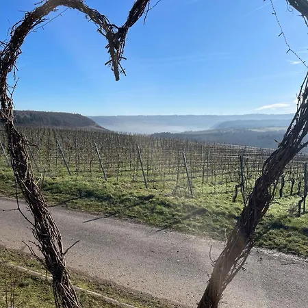 Gästezimmer Waldblick - Urlaub Im Wein&ferienort * Bekond